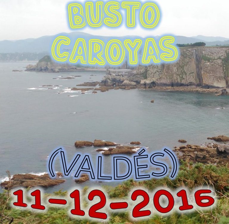 CONCEJO DE VALDÉS