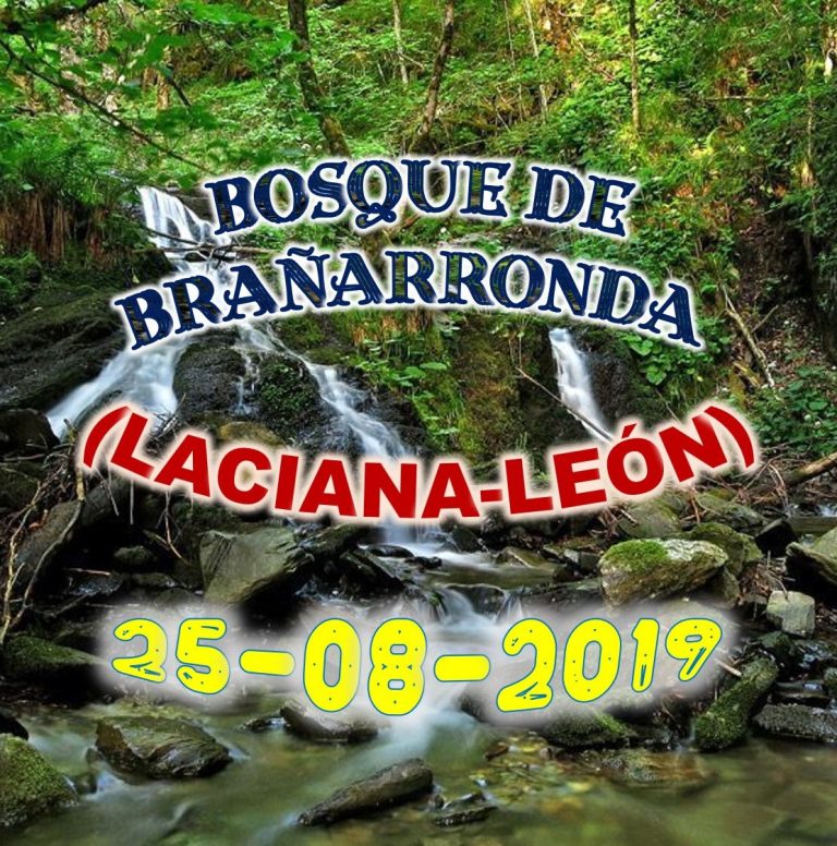 AYUNTAMIENTO DE LACIANA (LEÓN)