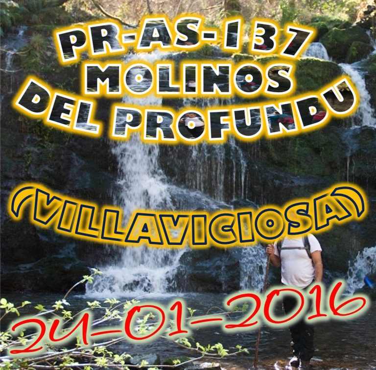 CONCEJO DE VILLAVICIOSA