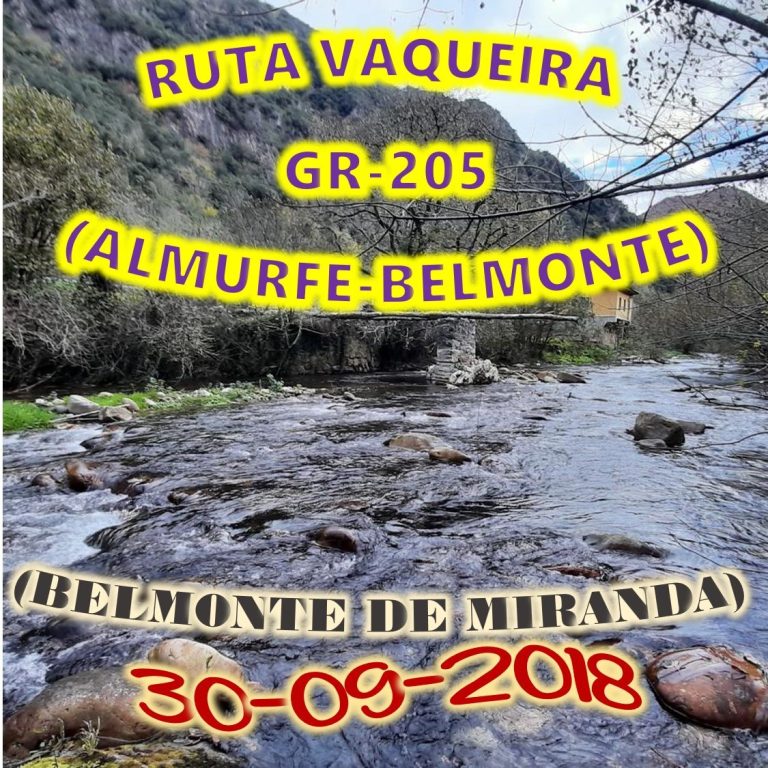 CONCEJO DE BELMONTE DE MIRANDA