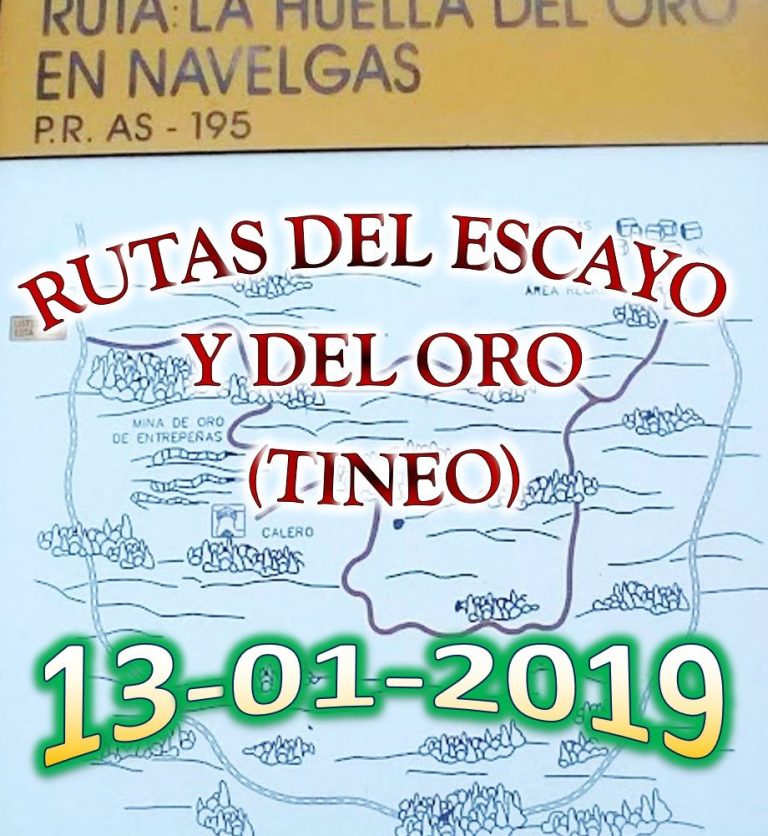 CONCEJO DE TINEO 