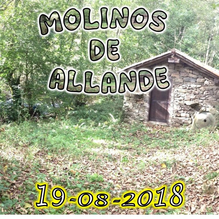 CONCEJO DE ALLANDE