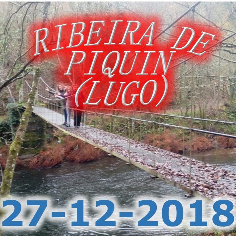 CONCELLO DE RIBEIRA DE PIQUÍN (LUGO)