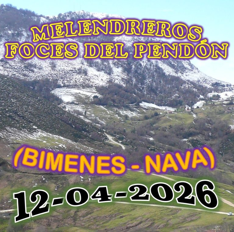 CONCEJOS DE BIMENES Y NAVA