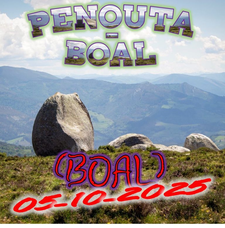 CONCEJO DE BOAL