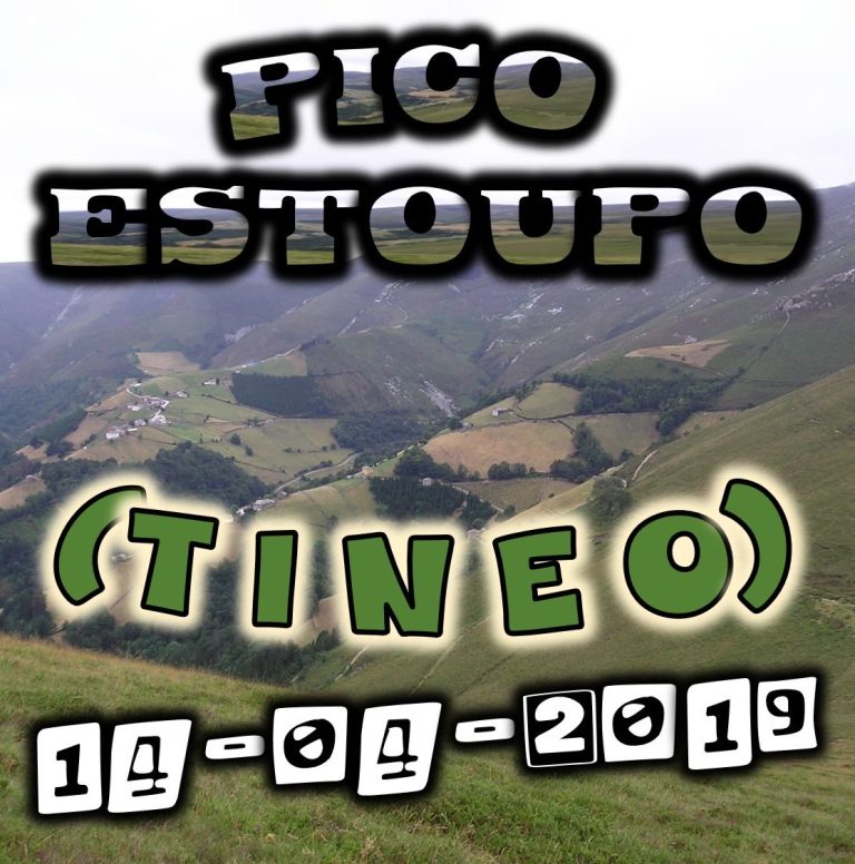 CONCEJO DE TINEO