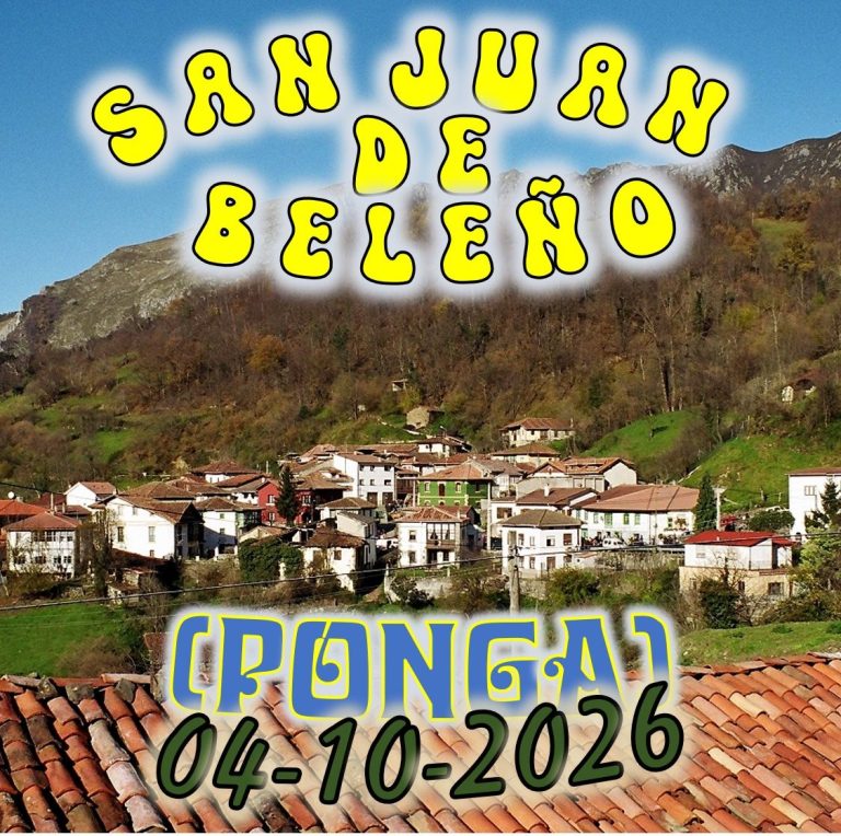 CONCEJO DE PONGA