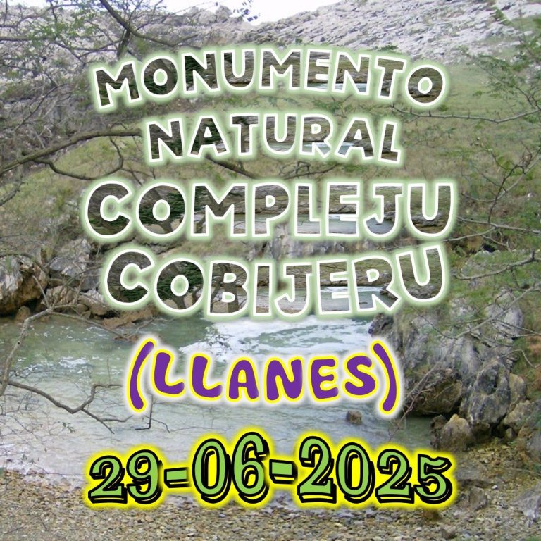 CONCEJO DE LLANES