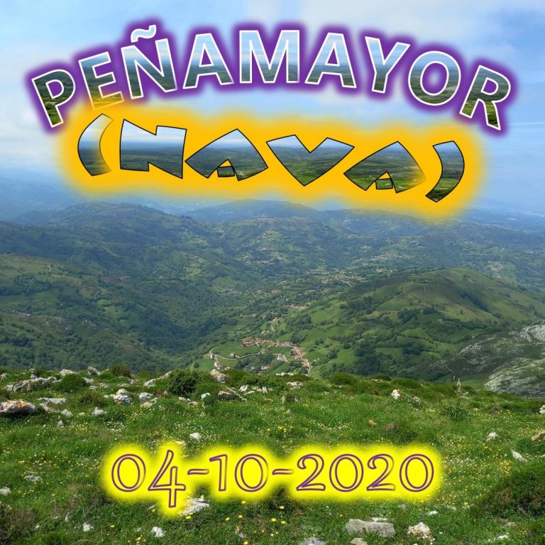 CONCEJO DE NAVA