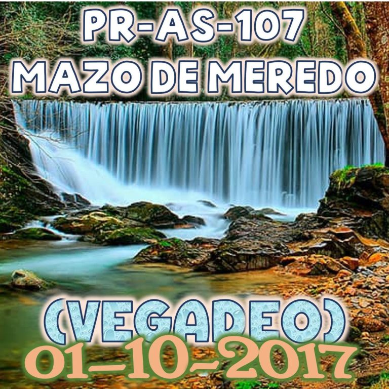 CONCEJO DE VEGADEO