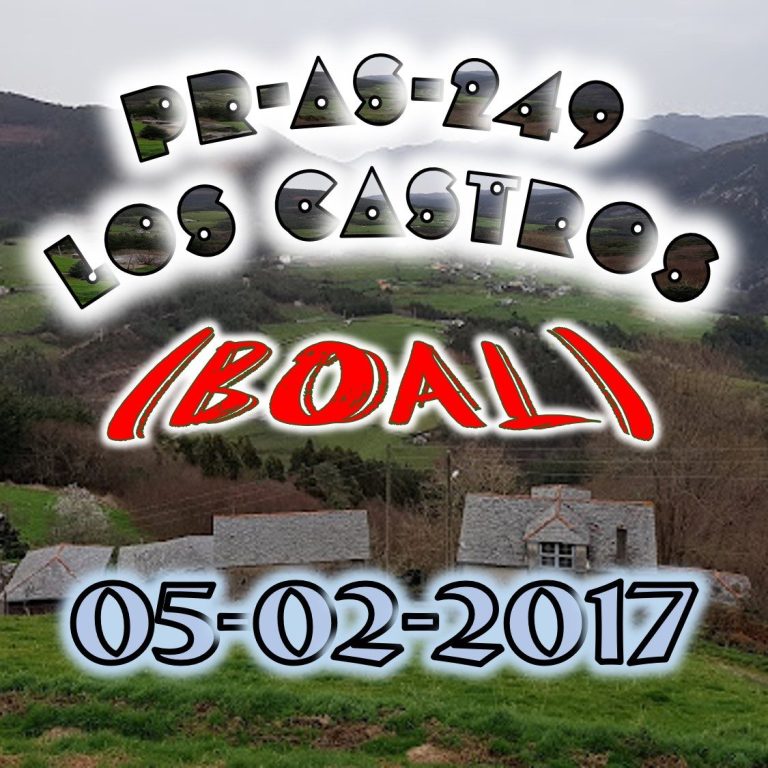 CONCEJO DE BOAL