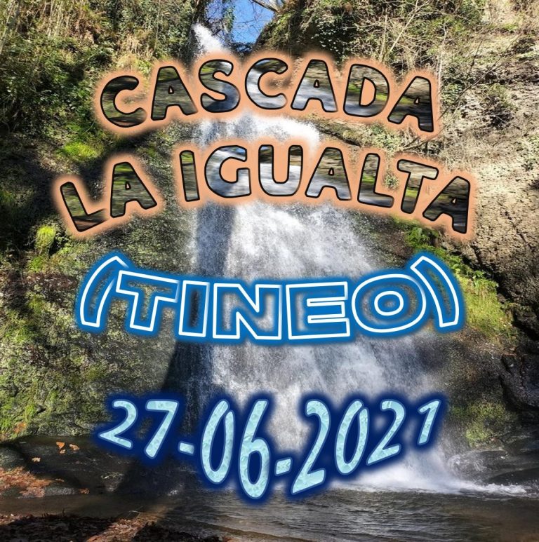 CONCEJO DE TINEO