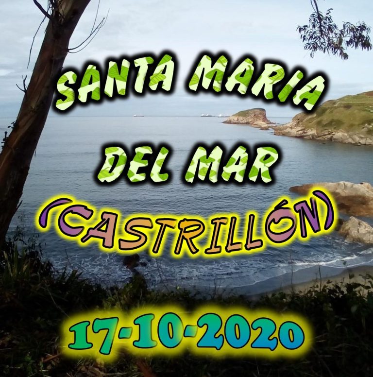 CONCEJO DE CASTRILLÓN