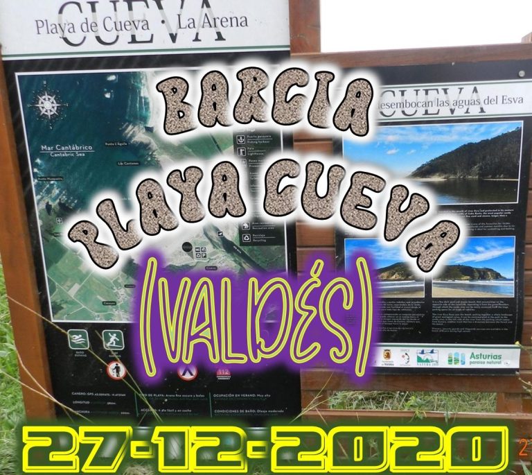CONCEJO DE VALDÉS