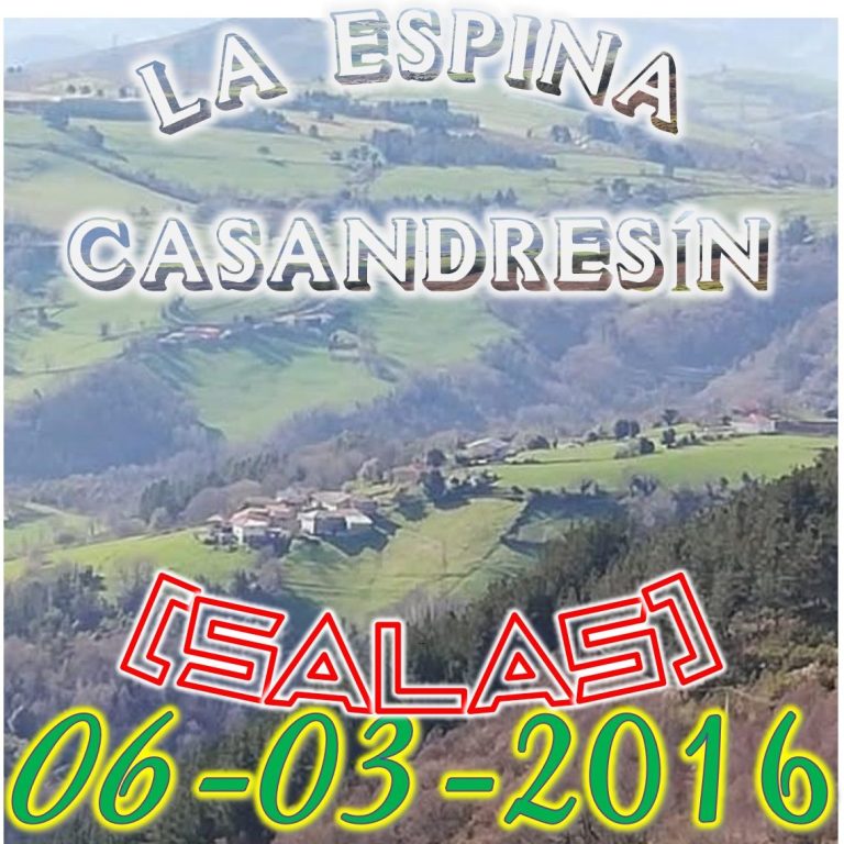 CONCEJO DE SALAS