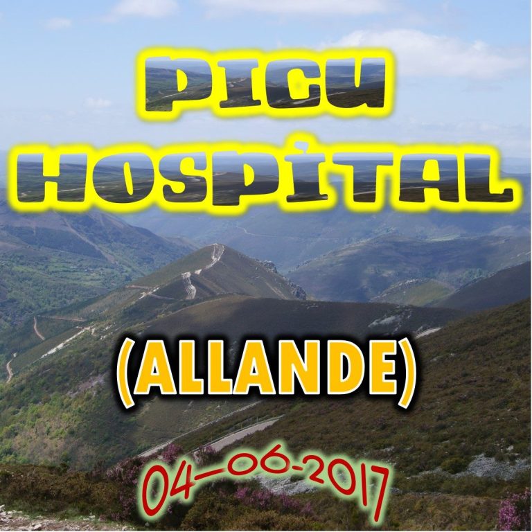 CONCEJO DE ALLANDE