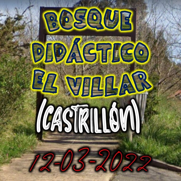 CONCEJO DE CASTRILLÓN