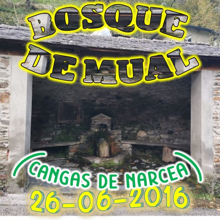 CONCEJO DE CANGAS DEL NARCEA