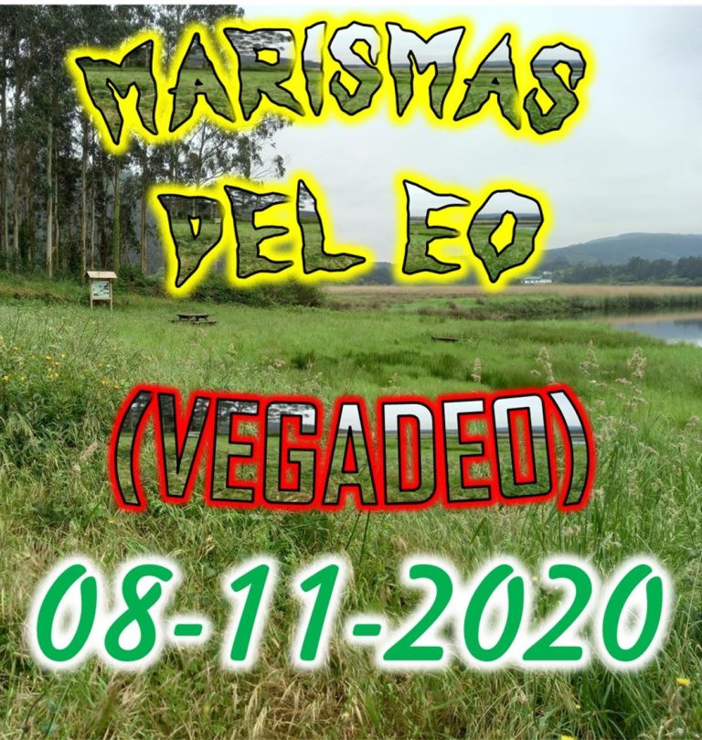 CONCEJO DE VEGADEO