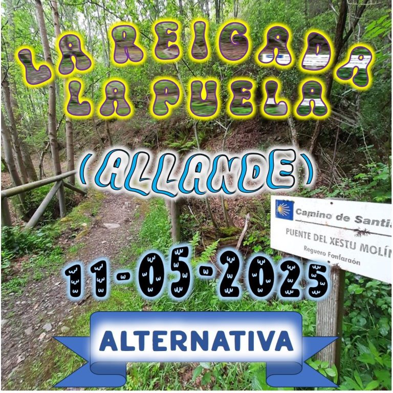 CONCEJO DE ALLANDE