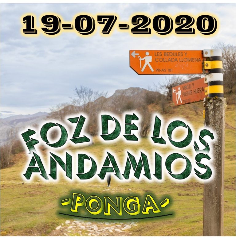 CONCEJO DE PONGA