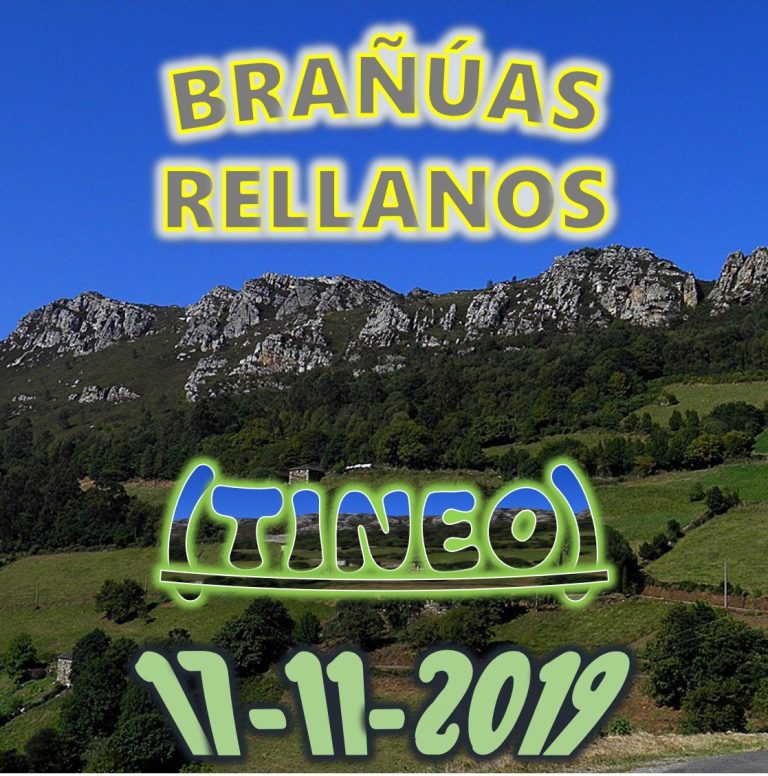 CONCEJO DE TINEO