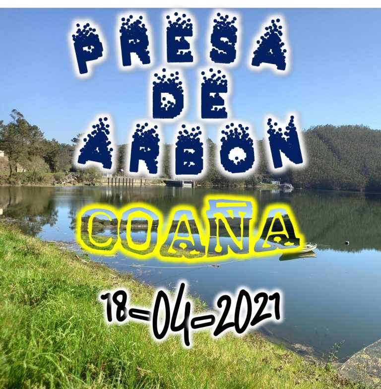 CONCEJOS DE COAÑA Y VILLAYÓN