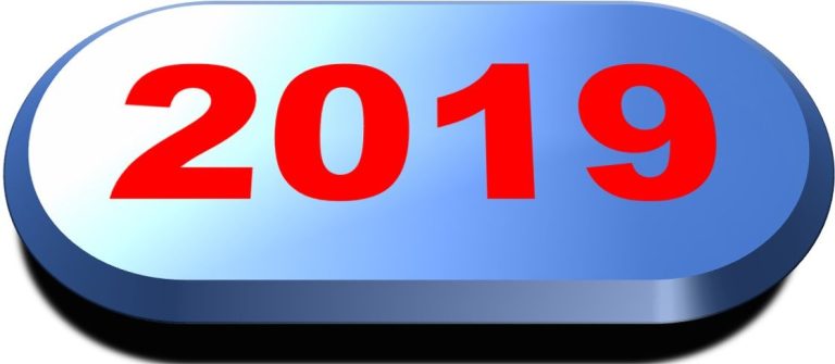 ACTIVIDADES DEL AÑO 2019