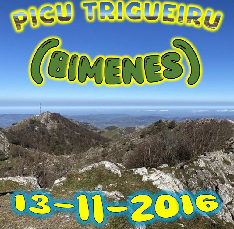 CONCEJO DE BIMENES