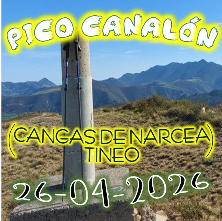 CONCEJOS DE CANGAS DE NARCES Y TINEO