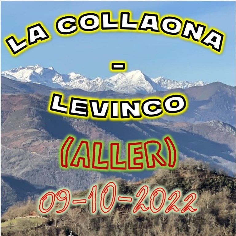 CONCEJO DE ALLER