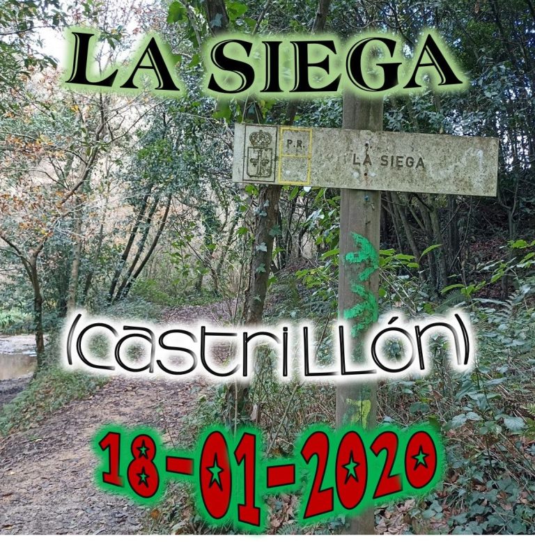 CONCEJO DE CASTRILLÓN