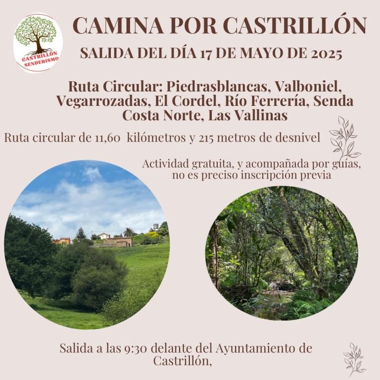 CONCEJO DE CASTRILLÓN