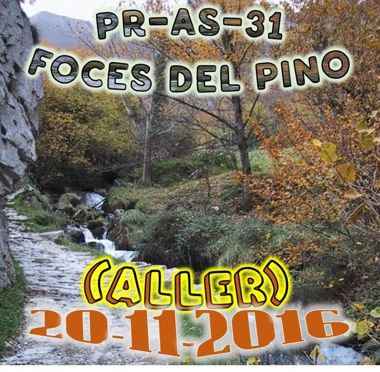 CONCEJO DE ALLER