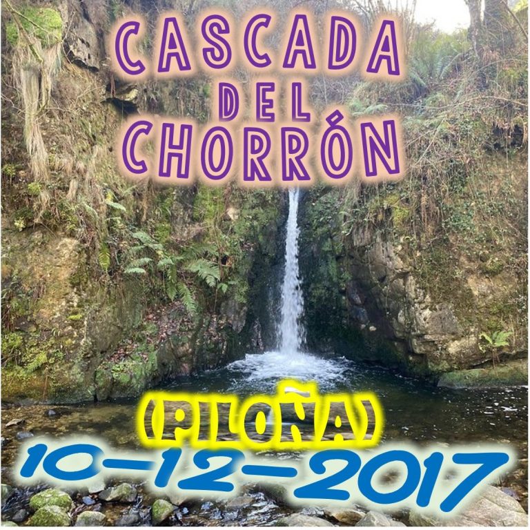 CONCEJO DE PILOÑA