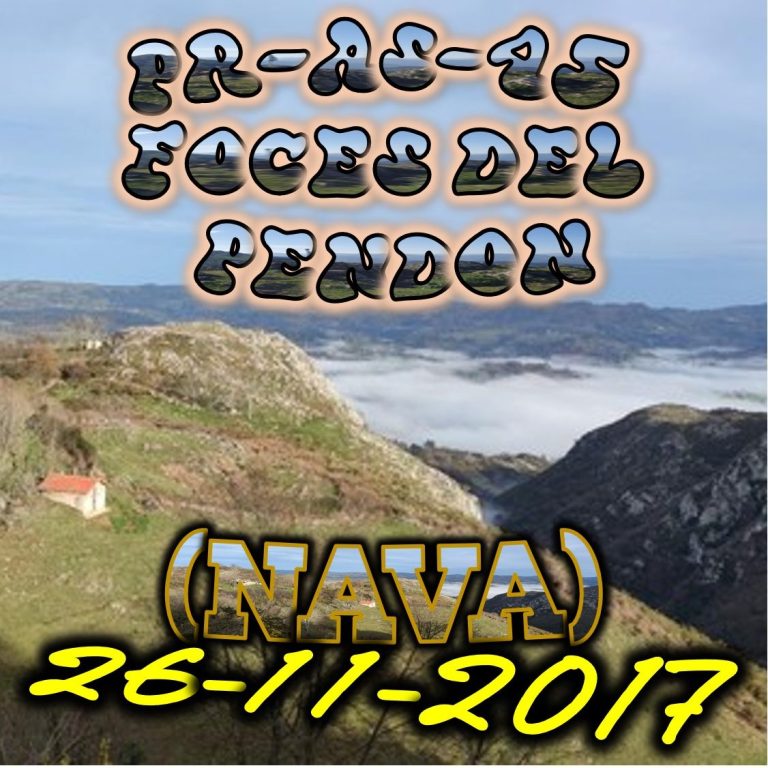 CONCEJO DE NAVA
