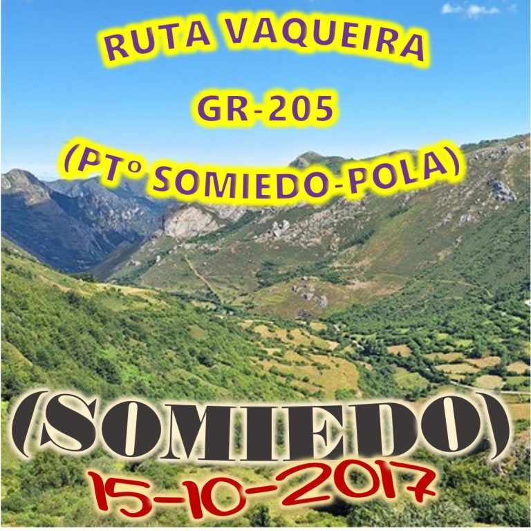 CONCEJO DE SOMIEDO
