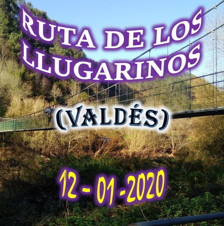 CONCEJO DE VALDÉS