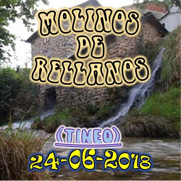 CONCEJO DE TINEO
