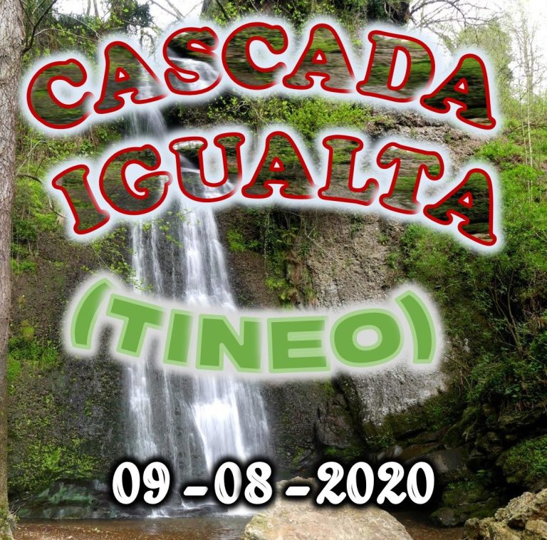 CONCEJO DE TINEO