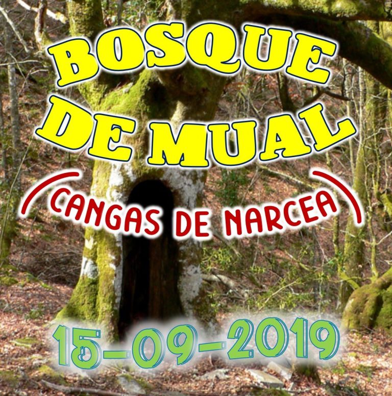 CONCEJO DE CANGAS DE NARCEA