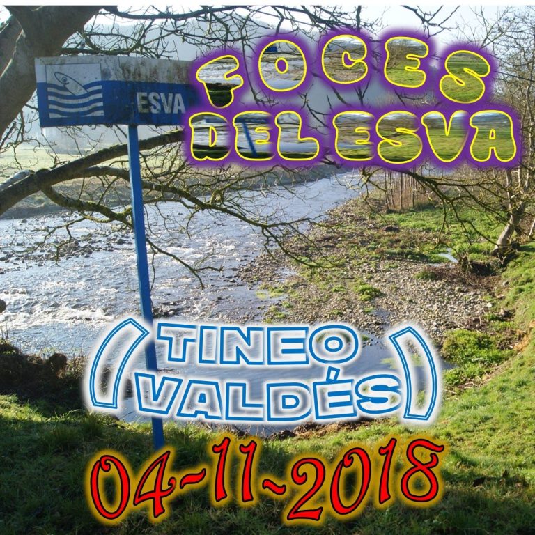 CONCEJOS DE TINEO Y VALDÉS