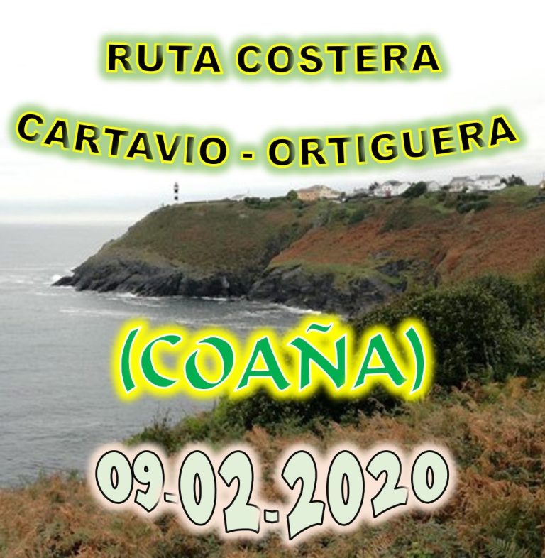 CONCEJO DE COAÑA