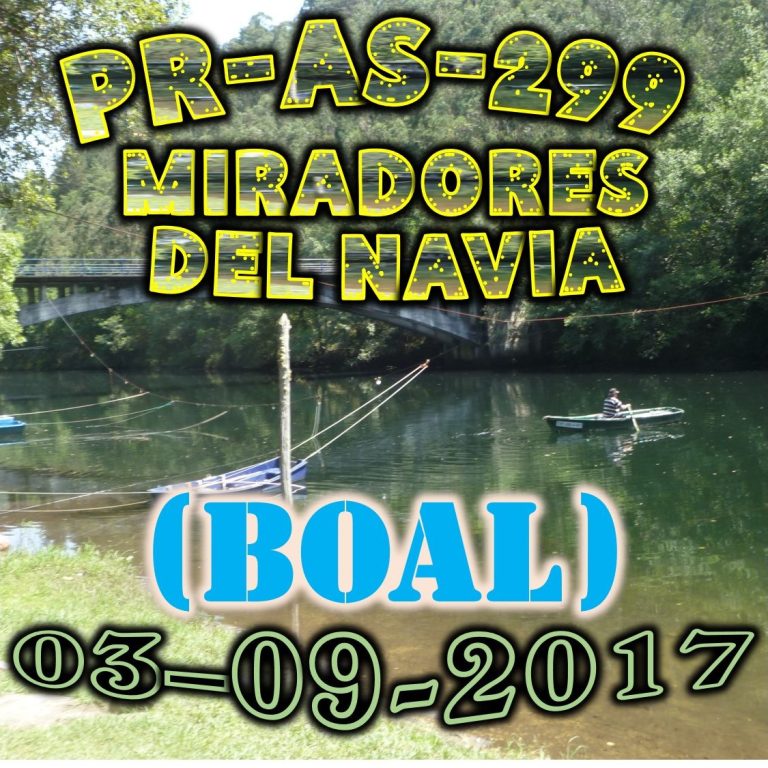 CONCEJO DE BOAL
