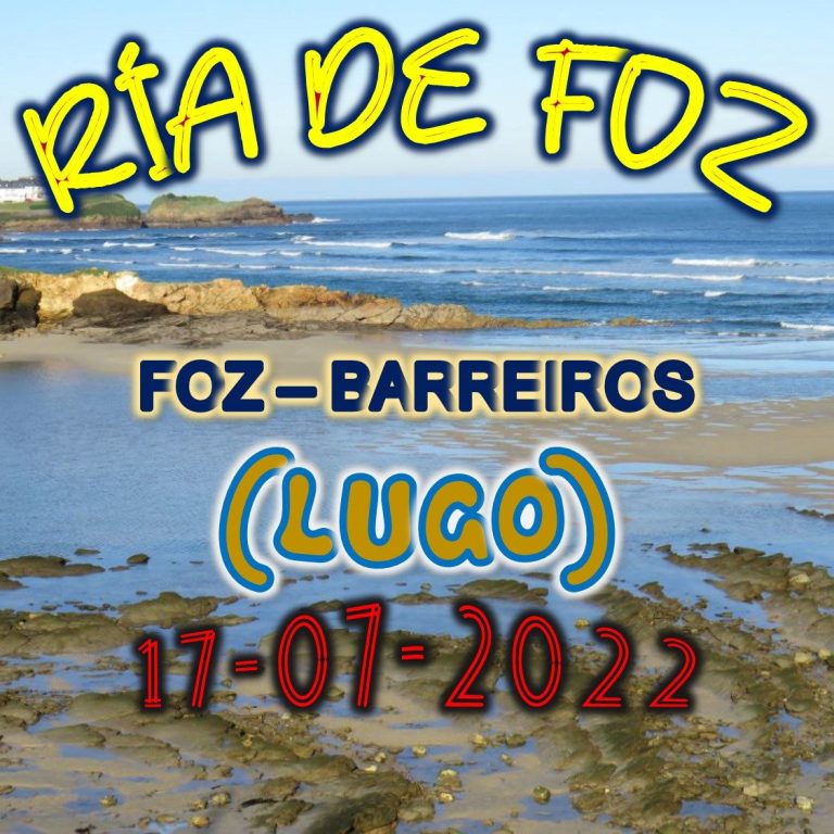 CONCELLOS DE FOZ Y BARREIROS (LUGO)