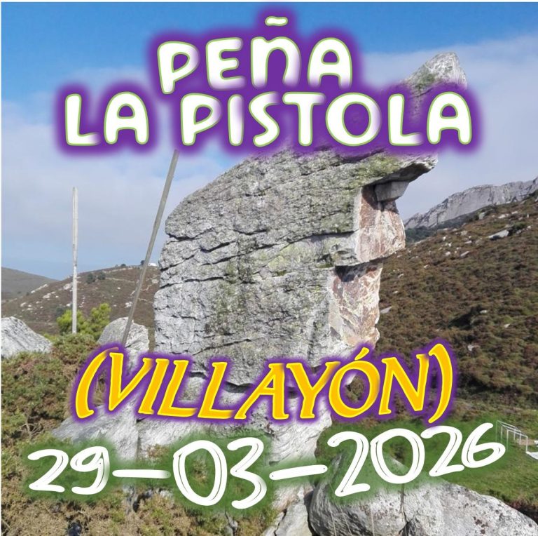 CONCEJOS DE NAVIA Y VILLAYÓN