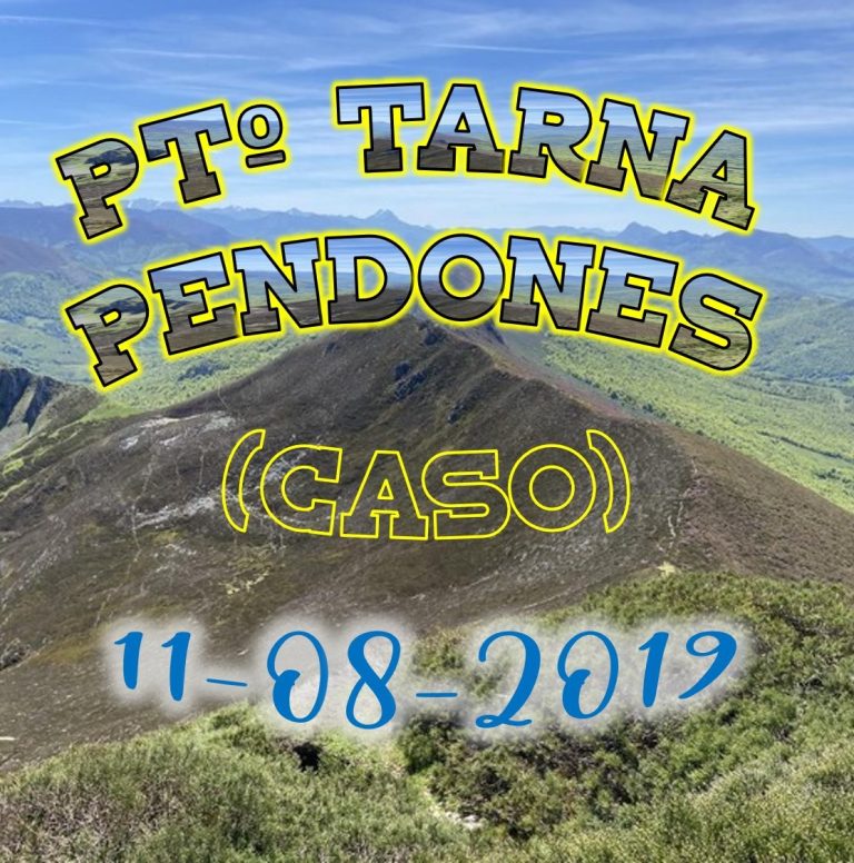 CONCEJO DE CASO