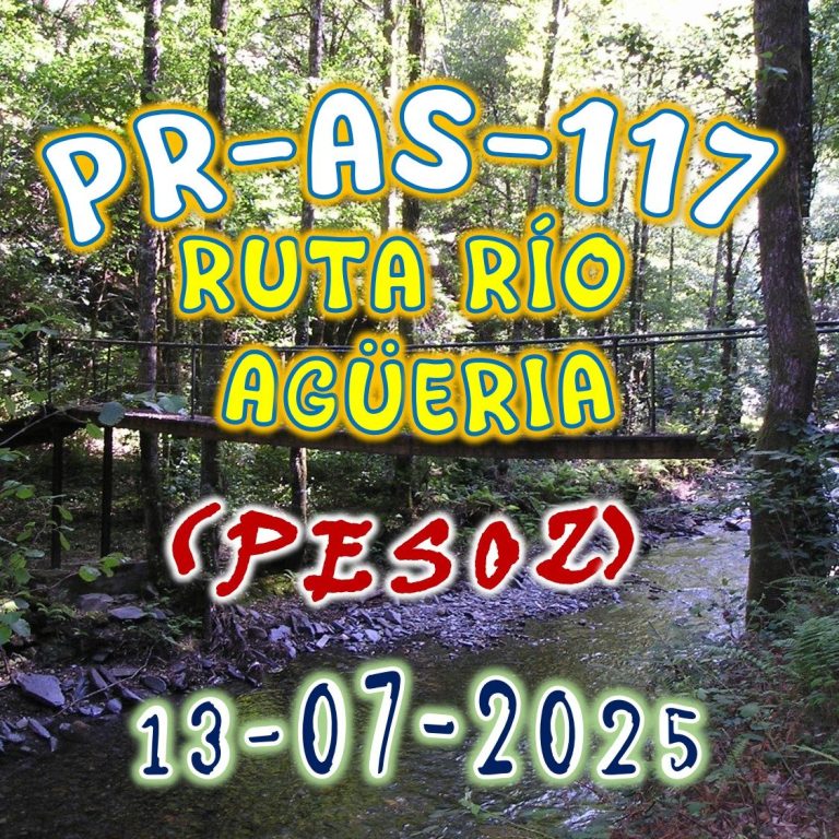 CONCEJO DE PESOZ