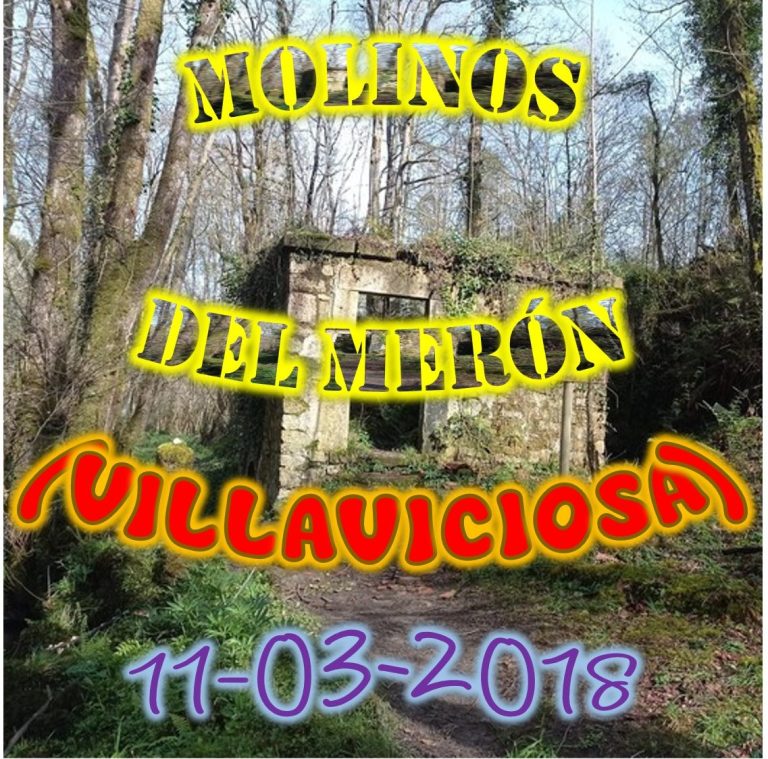CONCEJO DE VILLAVICIOSA