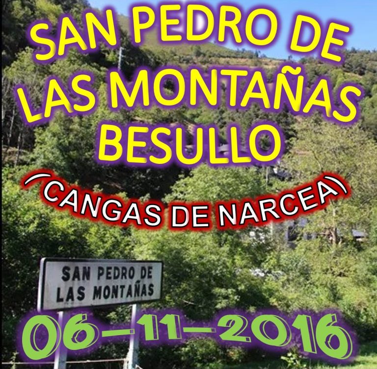 CONCEJO DE CANGAS DE NARCEA